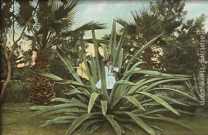 Norman Parkinson Girl in Century Plant, Maguey, Agave